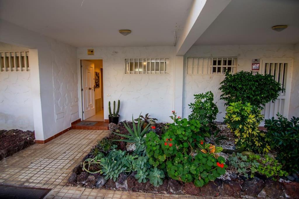 Donna Ida Apartment Costa Del Silencio Ngoại thất bức ảnh